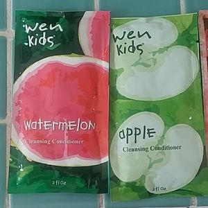 Wen by Chaz dean conditioners